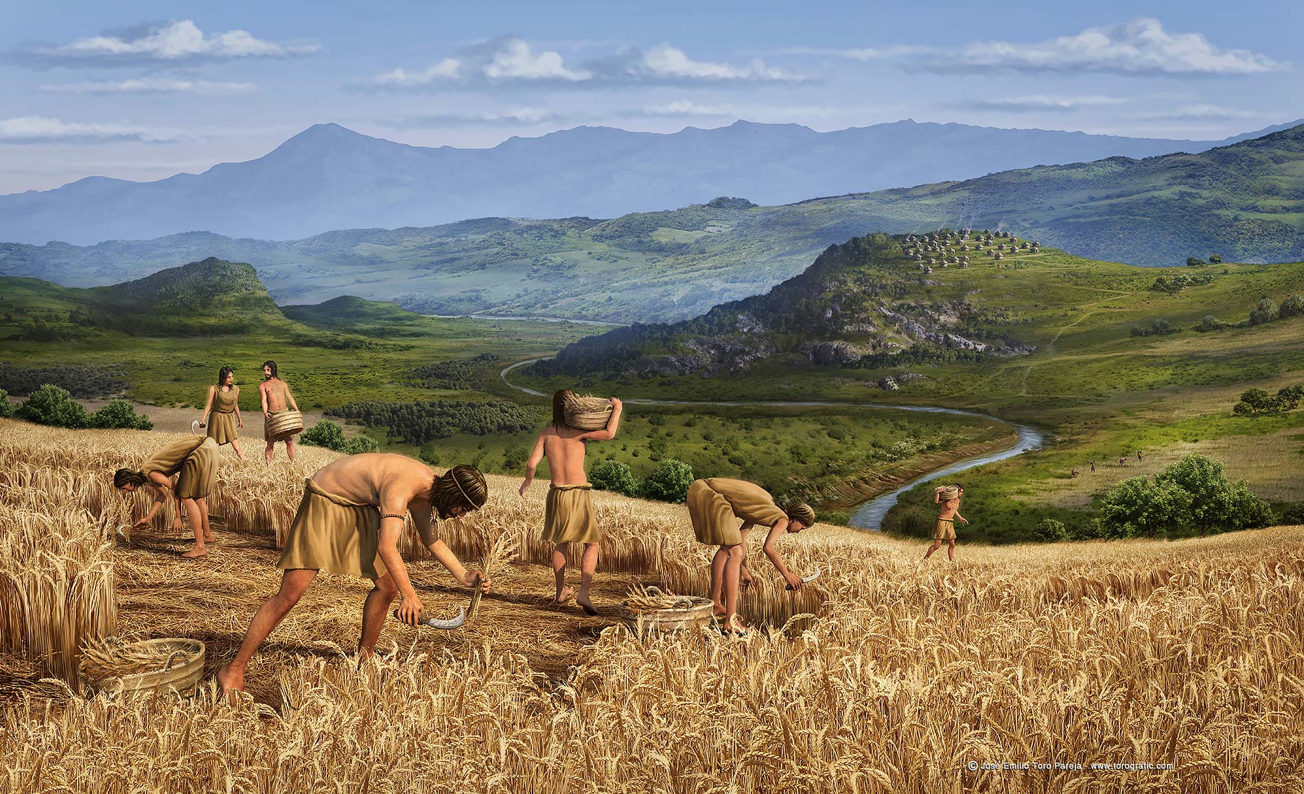 Torografic NEOLITHIC COLLECTORS MVVEL MUSEUM